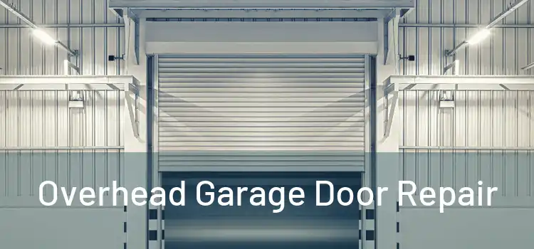  Overhead Garage Door Repair 